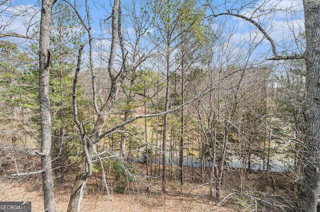 view of local wilderness featuring a forest view