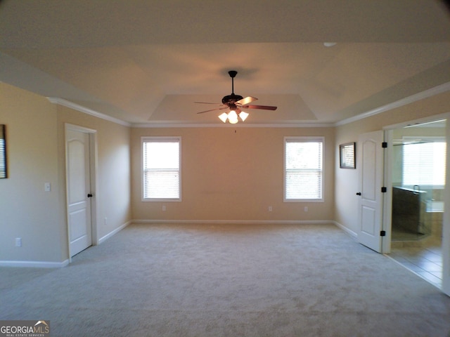 unfurnished bedroom featuring a tray ceiling and multiple windows