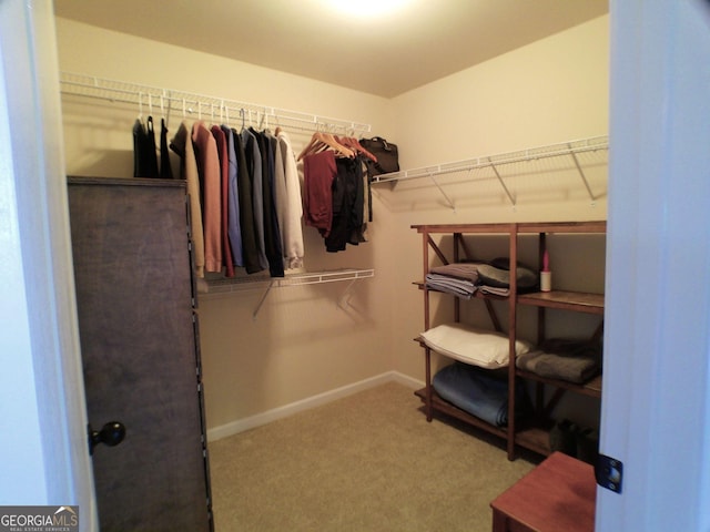 walk in closet featuring carpet floors