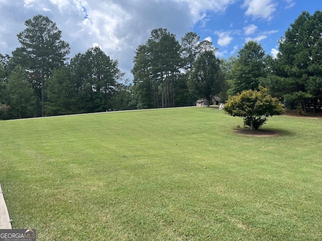 8440 Woodland Brooke Trl, Cumming, GA 30028 - view of green lawn
