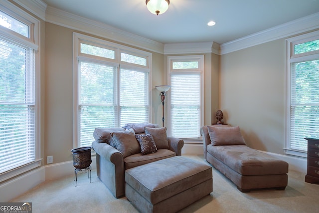 8440 Woodland Brooke Trl, Cumming, GA 30028 - carpeted living room featuring healthy amount of natural light and crown molding