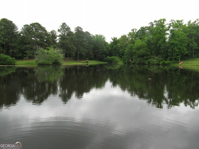 property view of water with a forest view