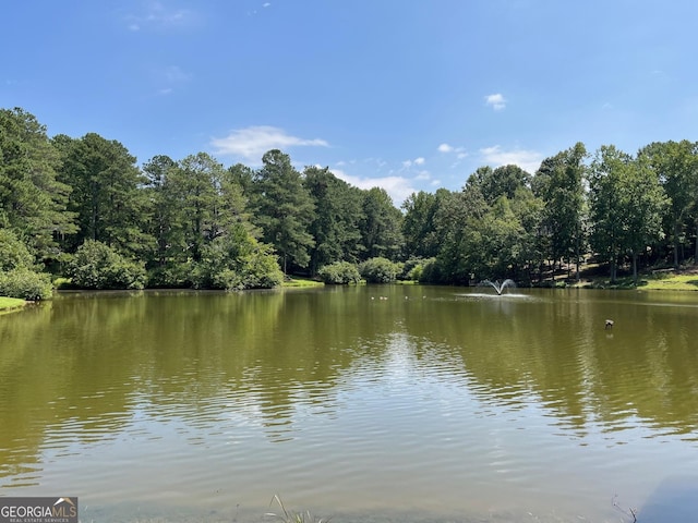 8440 Woodland Brooke Trl, Cumming, GA 30028 - water view with a heavily wooded area