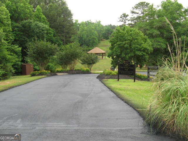 8440 Woodland Brooke Trl, Cumming, GA 30028 - view of asphalt road