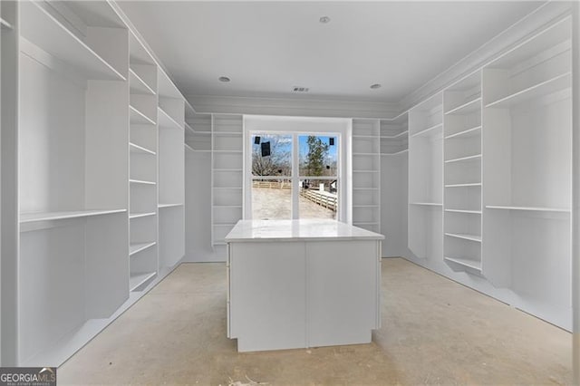 spacious closet with visible vents