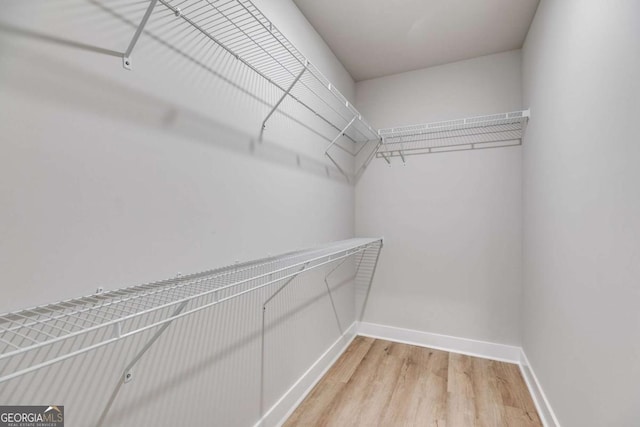 spacious closet featuring wood finished floors