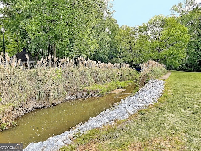 water view featuring a view of trees