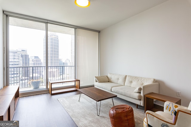 living area featuring a healthy amount of sunlight, a city view, floor to ceiling windows, and wood finished floors