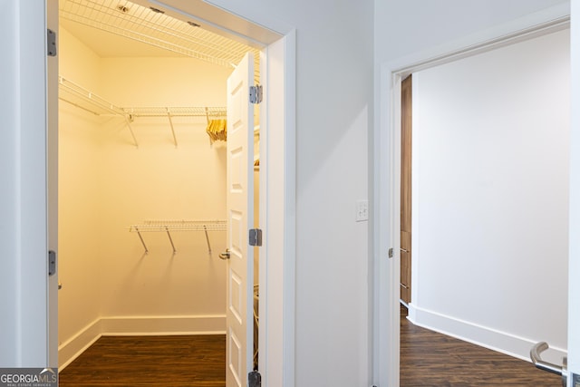 walk in closet with dark wood-style flooring