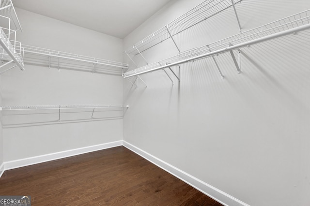 spacious closet with dark wood-type flooring