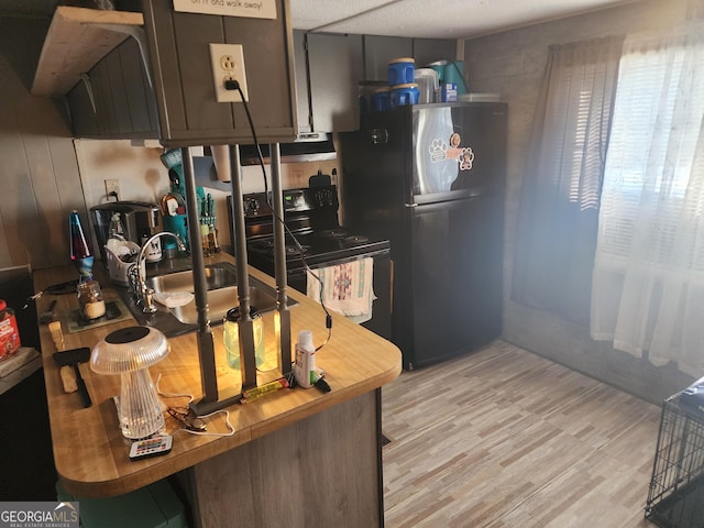kitchen featuring light wood-style floors, black / electric stove, a sink, and freestanding refrigerator