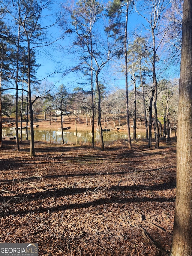 view of yard with a water view