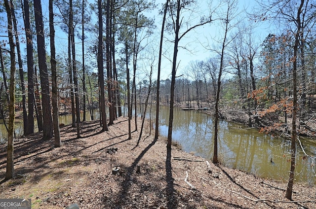 property view of water featuring a view of trees