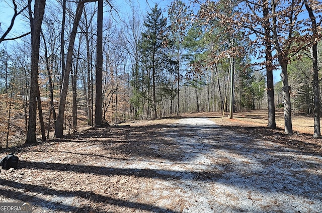 view of street featuring a wooded view