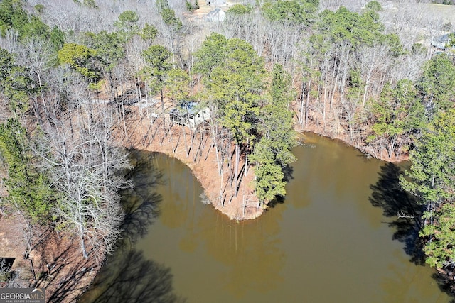 aerial view featuring a water view and a view of trees