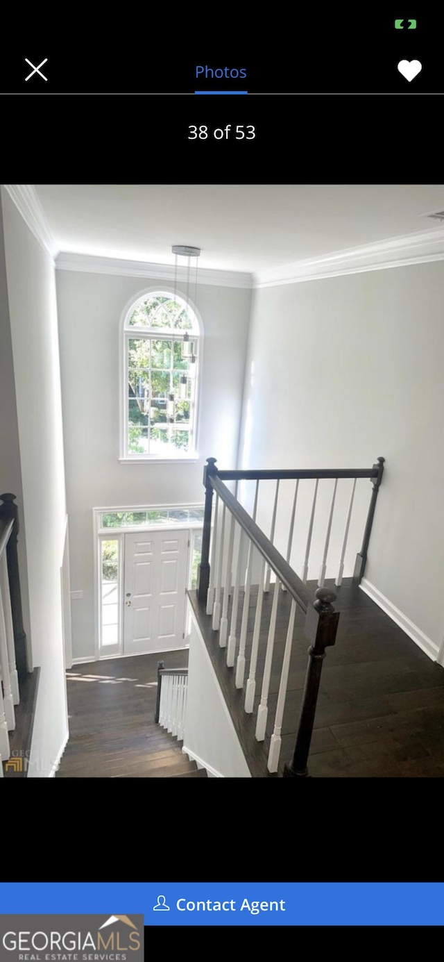 foyer entrance featuring dark wood-style floors, baseboards, and crown molding