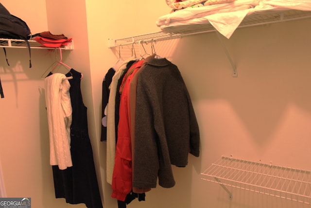 view of spacious closet