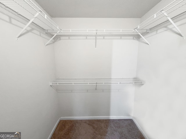 walk in closet featuring carpet