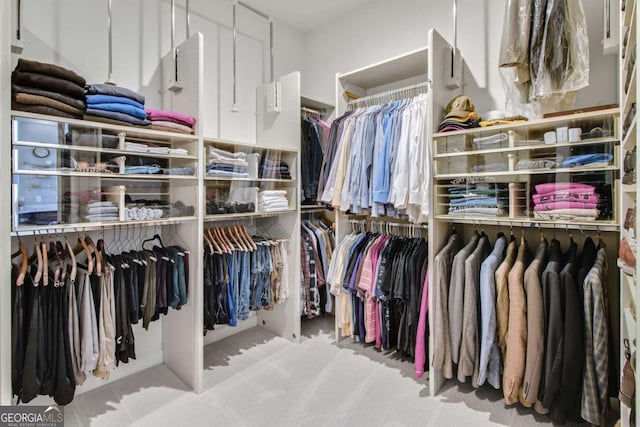 spacious closet featuring light colored carpet