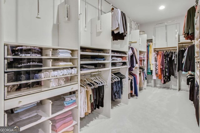 view of spacious closet