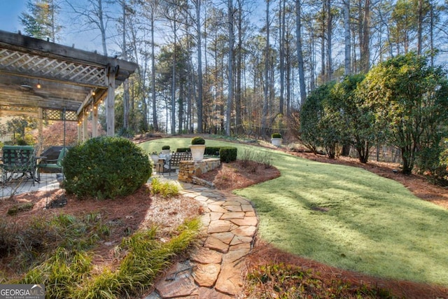 view of yard featuring a patio