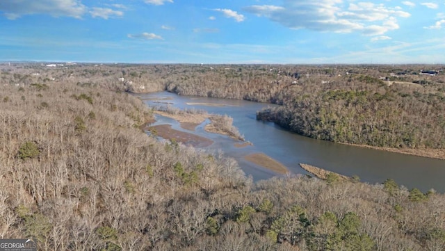 aerial view featuring a water view and a wooded view