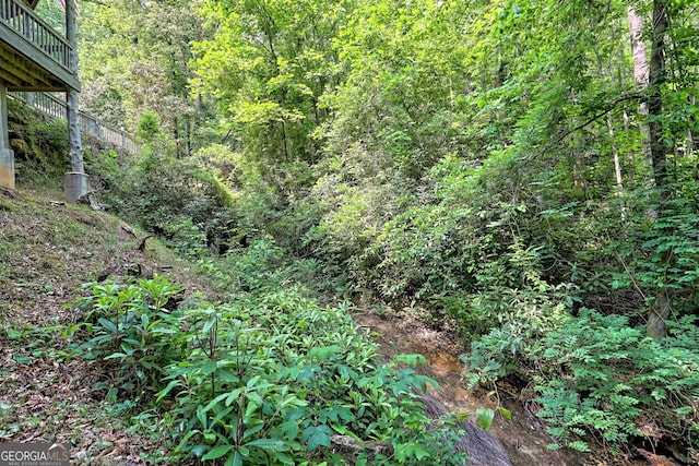 view of local wilderness with a view of trees