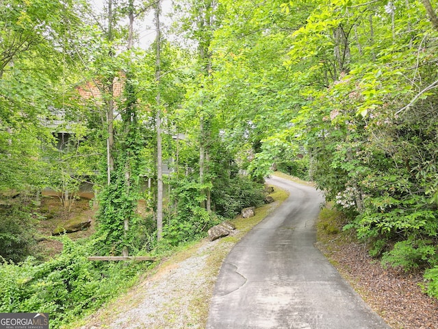 view of road with a view of trees