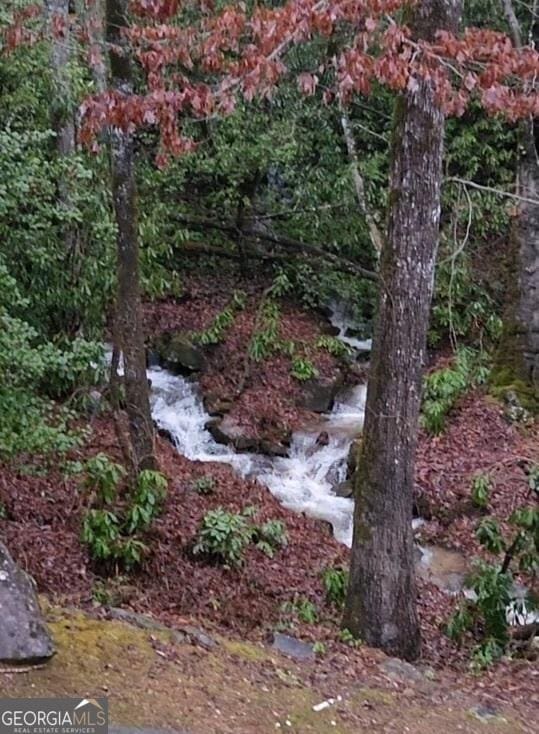 view of local wilderness