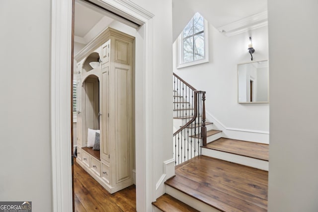 stairs with ornamental molding and wood finished floors