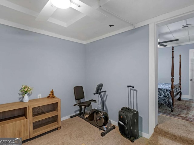 exercise area featuring baseboards and light colored carpet