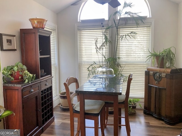 dining room with a healthy amount of sunlight, vaulted ceiling, and wood finished floors