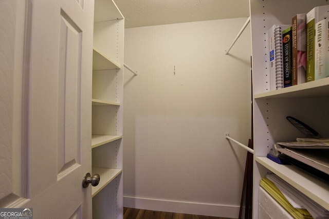 spacious closet featuring dark wood-style floors