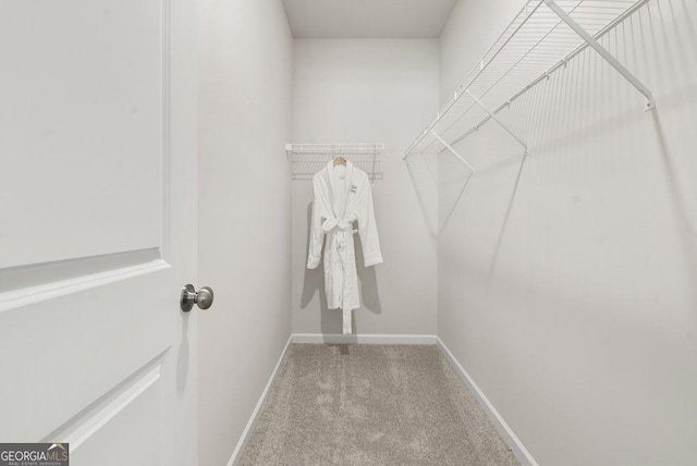 spacious closet featuring light carpet