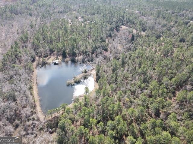 drone / aerial view with a water view and a view of trees