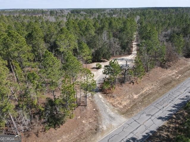 bird's eye view with a wooded view