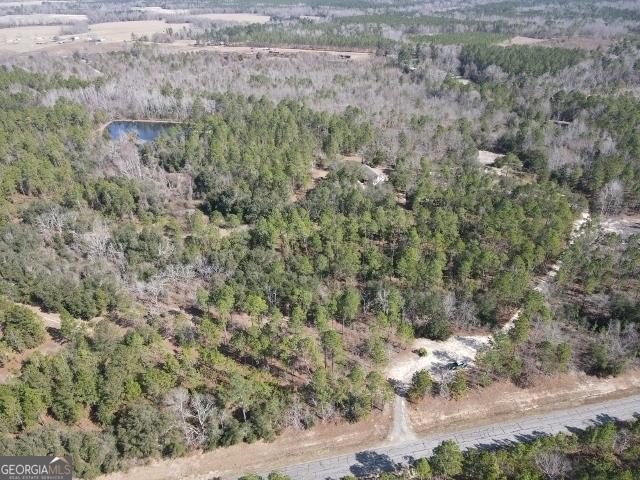 aerial view with a forest view