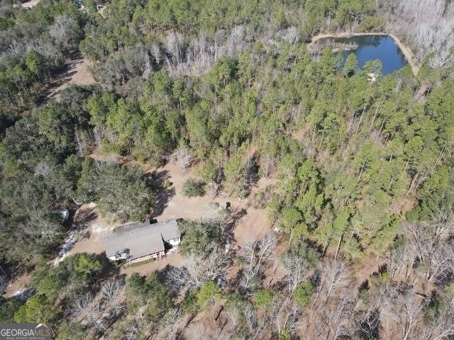 bird's eye view featuring a water view and a view of trees