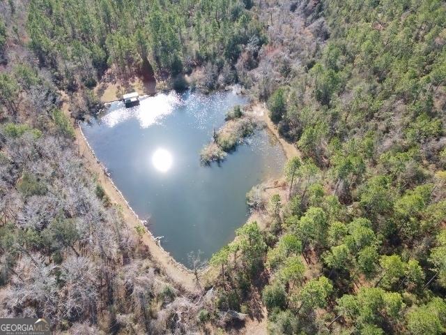 bird's eye view with a water view and a forest view