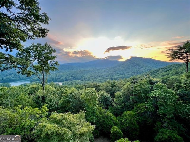 view of mountain feature with a forest view