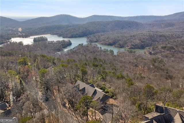 bird's eye view featuring a forest view and a water and mountain view