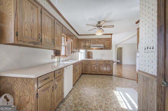 kitchen with dishwasher, light countertops, exhaust hood, and a sink