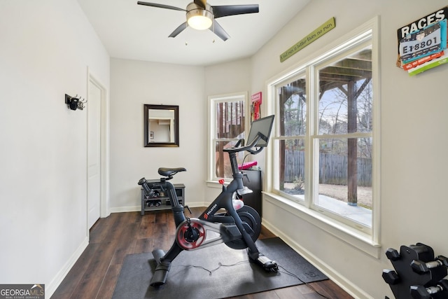 exercise room with a ceiling fan, baseboards, and wood finished floors