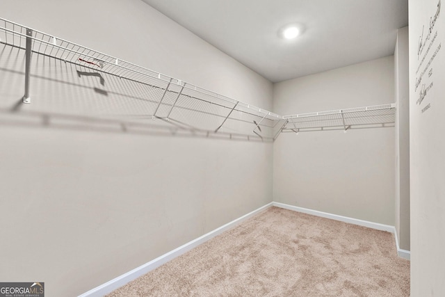 spacious closet with carpet flooring