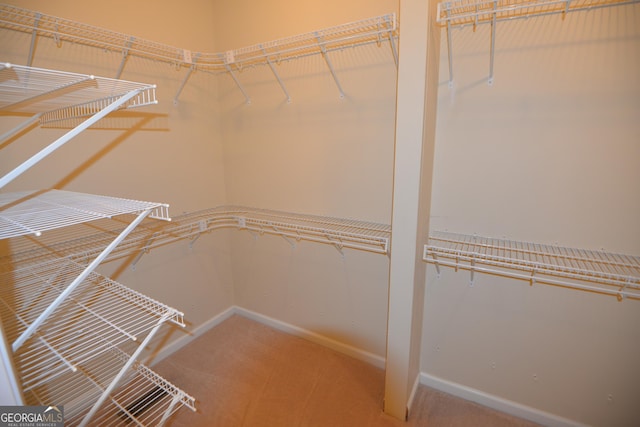 spacious closet with carpet flooring