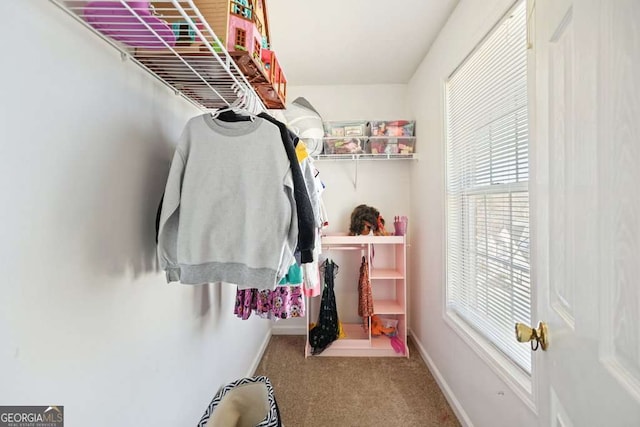 walk in closet featuring carpet floors