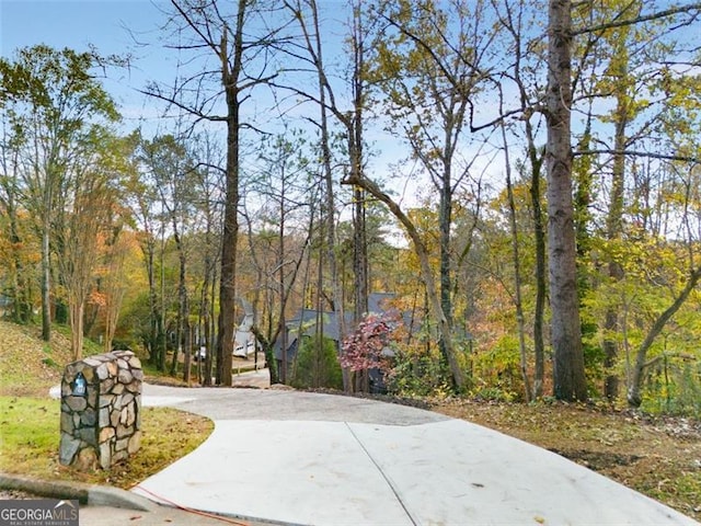 view of community featuring driveway