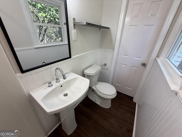 bathroom with wainscoting, toilet, and wood finished floors