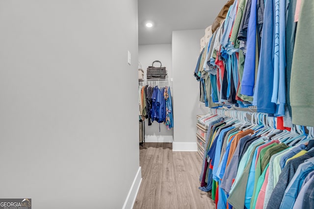 walk in closet featuring wood finished floors