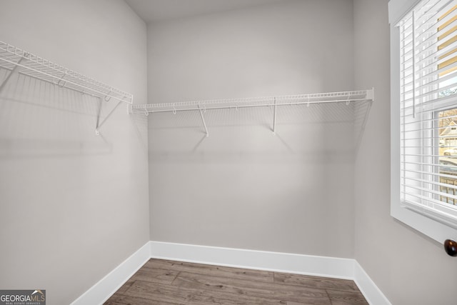 spacious closet featuring wood finished floors